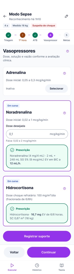 Como ficou · Noradrenalina e Hidrocortisona associadas